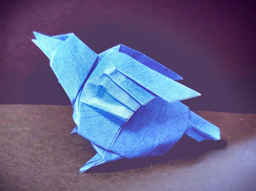 little-bird-giunta.jpg