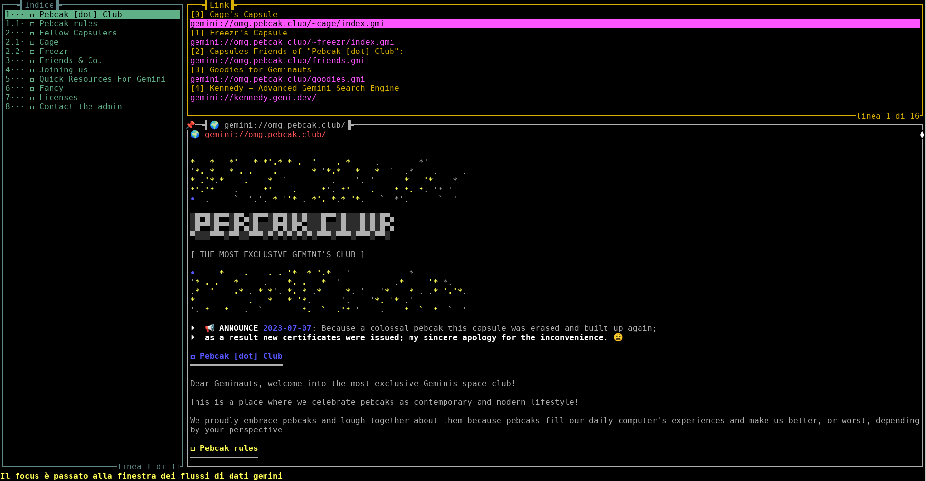 screenshot-gemini.png